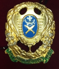 Знак 12-й пехотный Великолуцкий полк