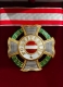 Звезда Военного ордена Марии Терезии (Австрия)